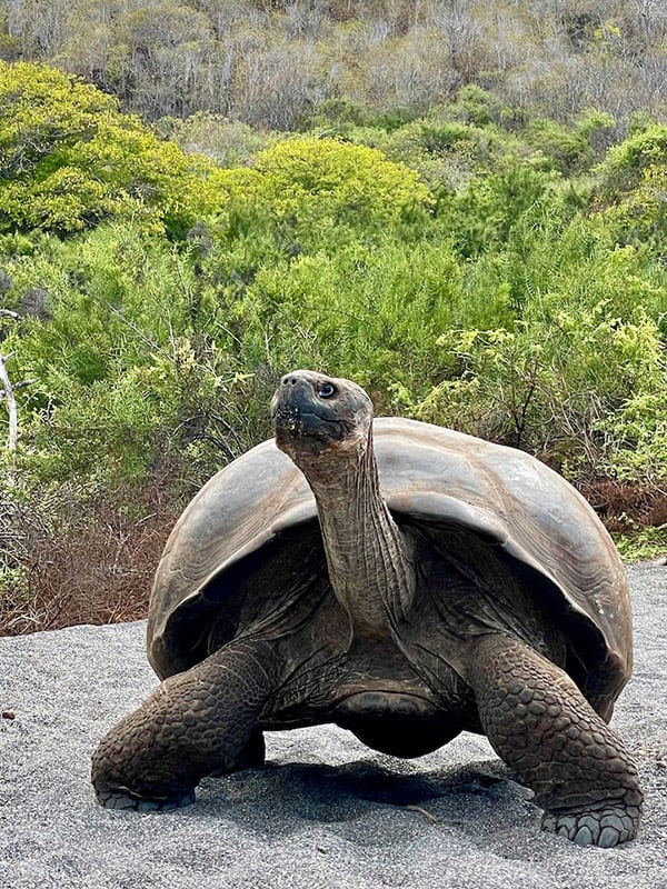 Galapagos trip 2022